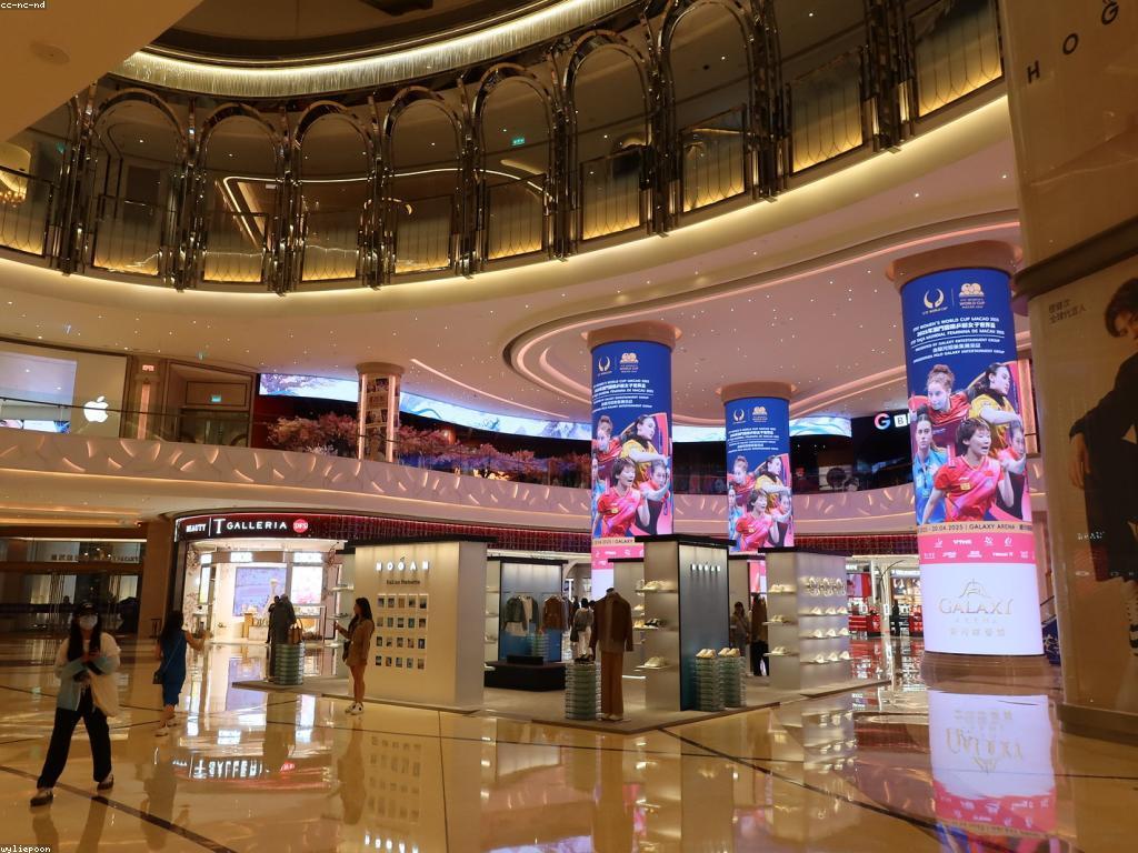 កាស៊ីណូអនឡាញសម្រាប់អ្នកថ្មី: មគ្គុទេសក៍សម្រាប់ការចាប់ផ្ដើម